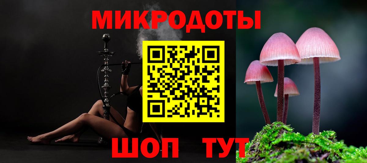 Псилоцибиновые грибы Psilocybine cubensis  даркнет сайт  Реутов  Галлюциногенные грибы Psilocybe  Вход с VPN 